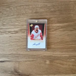 Filip Hronek - SPx Signatures 2021/22 limit /15